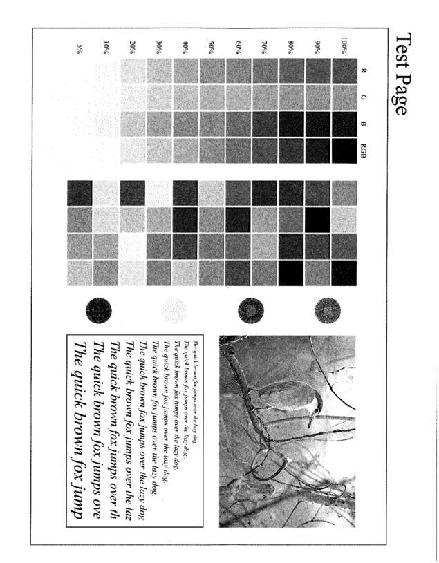 Fax page