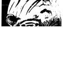 Fax preview