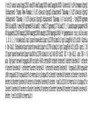 Fax preview