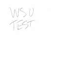 Fax preview