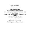Fax preview