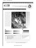 Fax preview