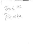Fax preview