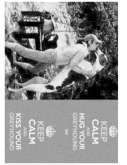 Fax preview