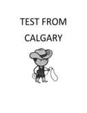 Fax preview