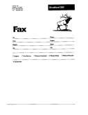 Fax preview
