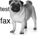 Fax preview