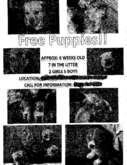 Fax preview